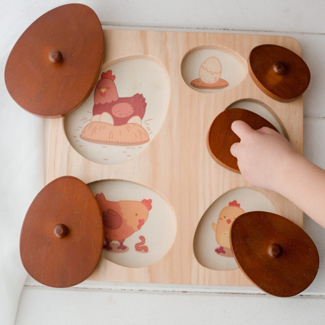 Hen Life Cycle Puzzle