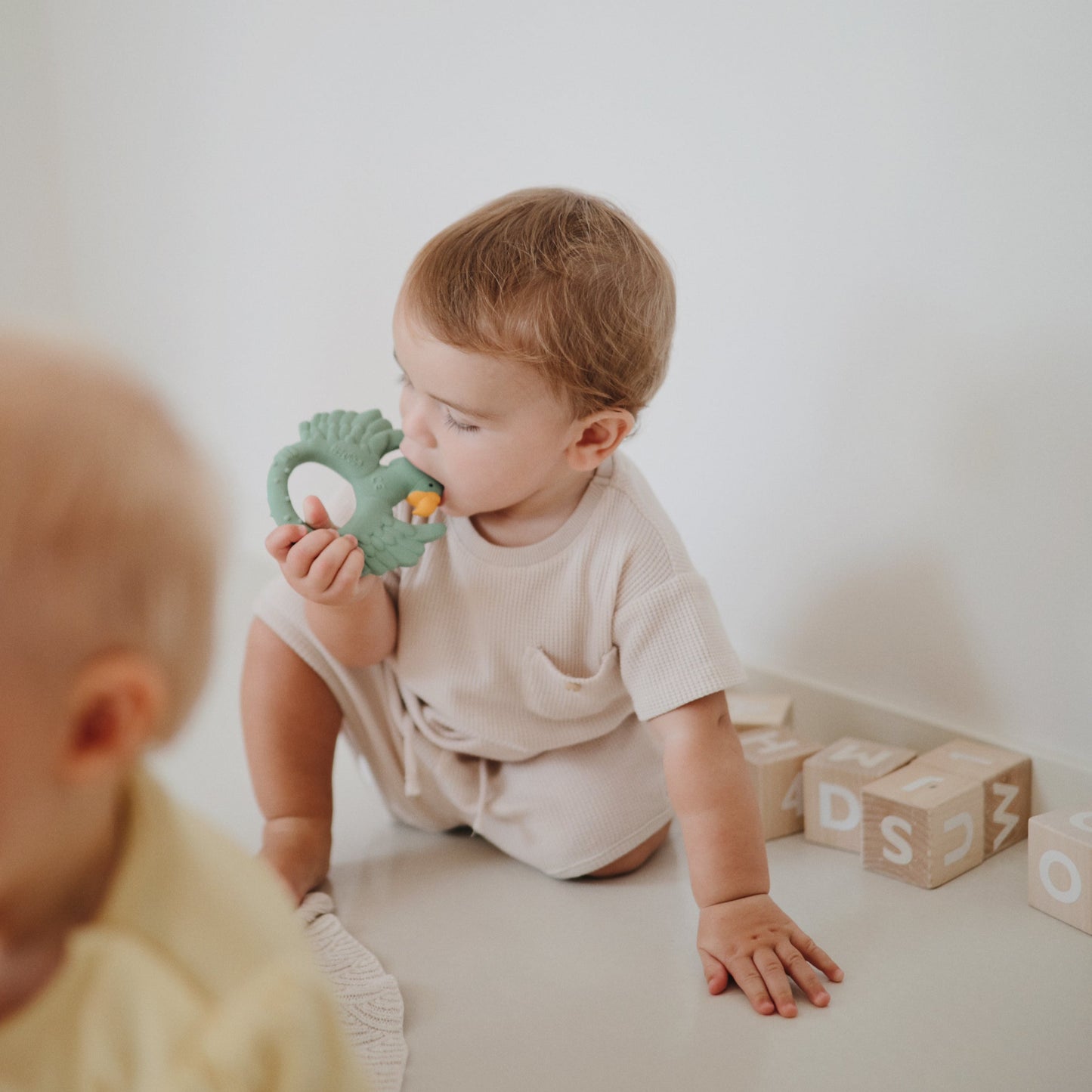 Natural Rubber Teether - Parrot Light Green (limited edition)