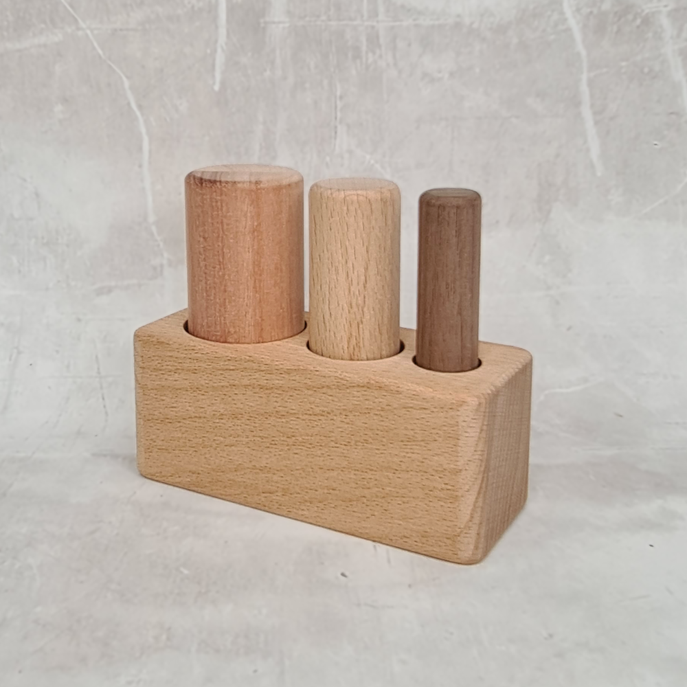 Size Discrimination 3 Pole Puzzle