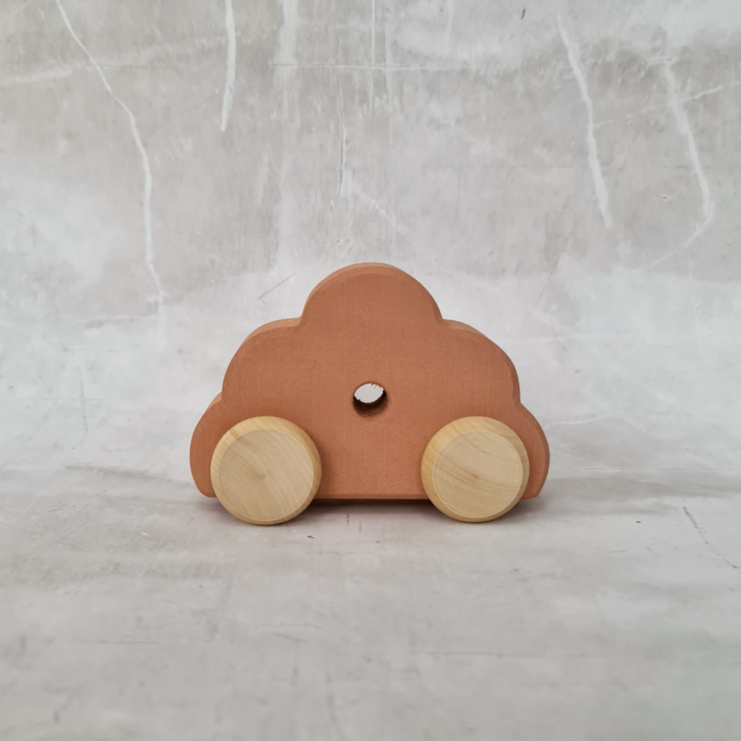 Toy Car - Wildflower