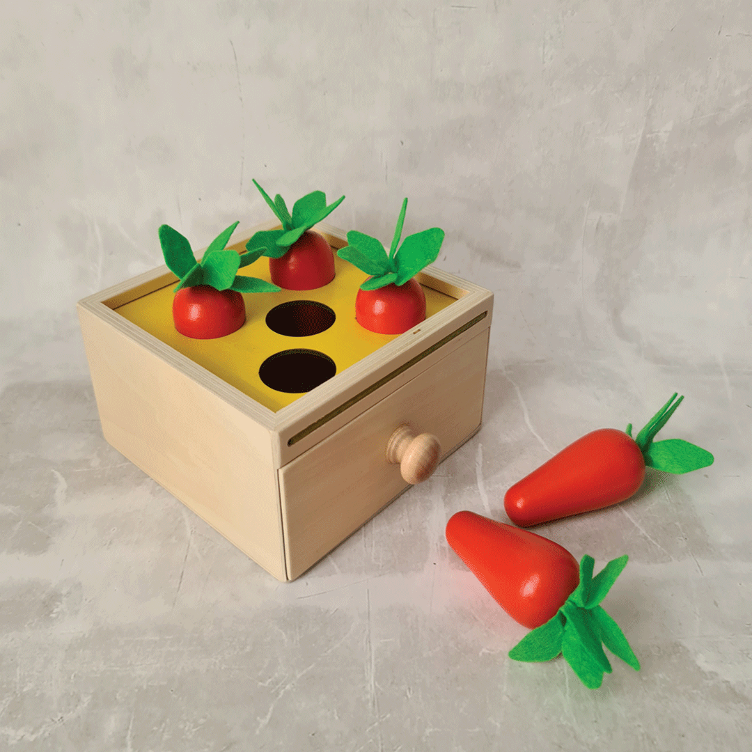 Montessori Box