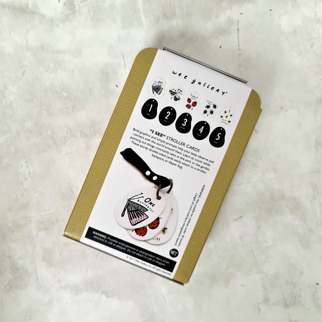 Stroller Cards - I See Bugs to Count