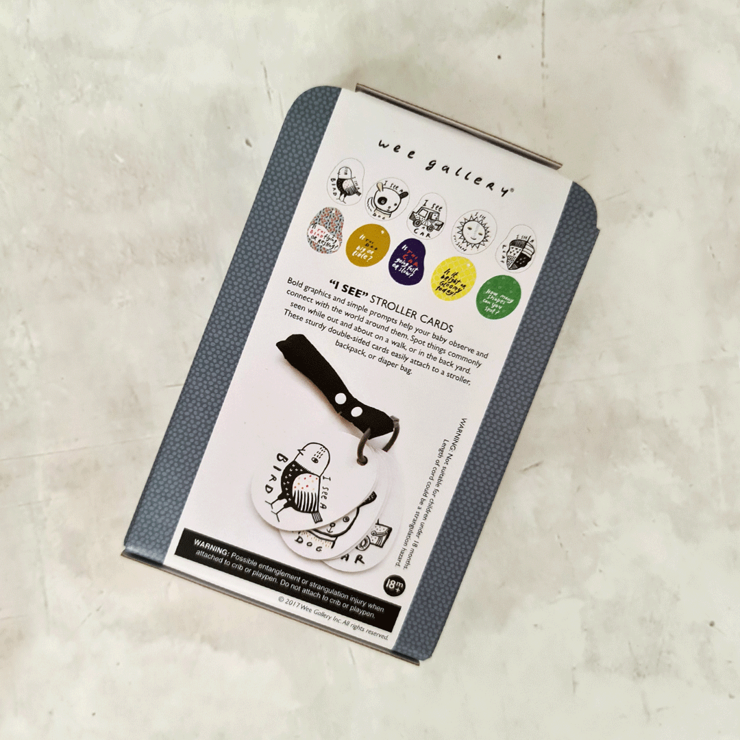 Stroller Cards - I See on a Walk