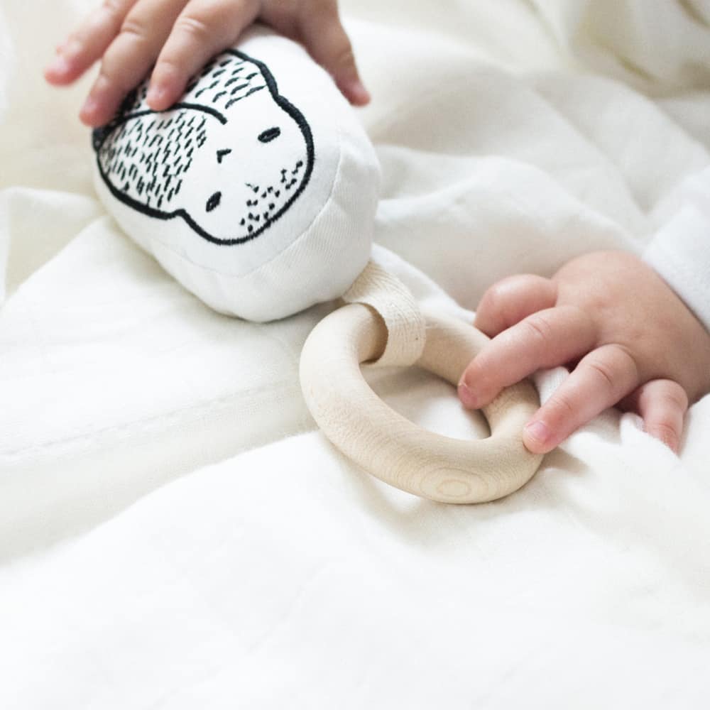 Organic Teether - Owl