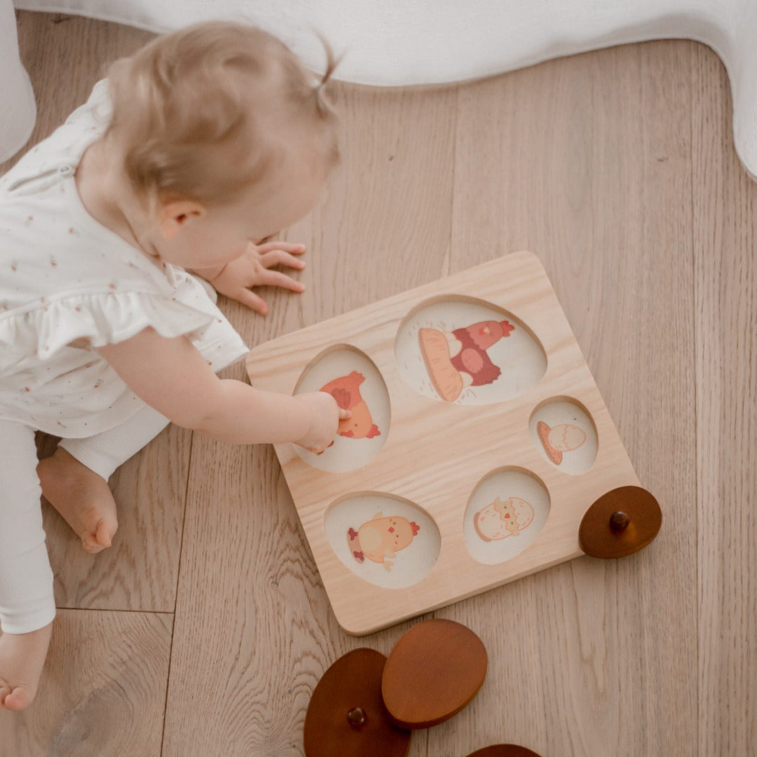 Hen Life Cycle Puzzle