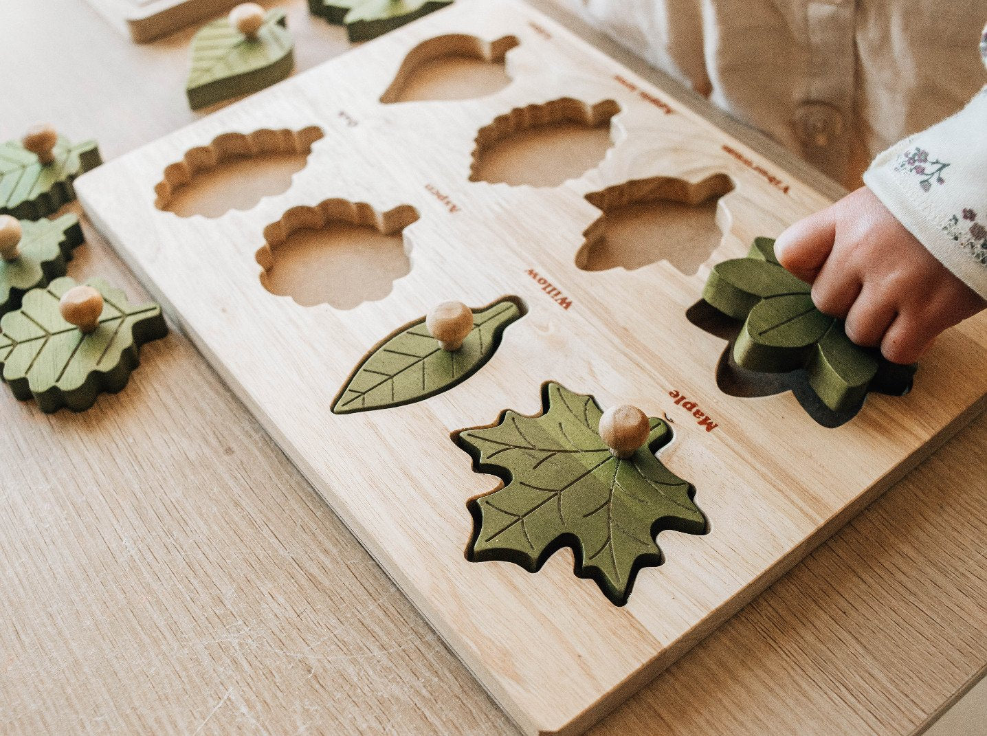 Leaf Puzzle