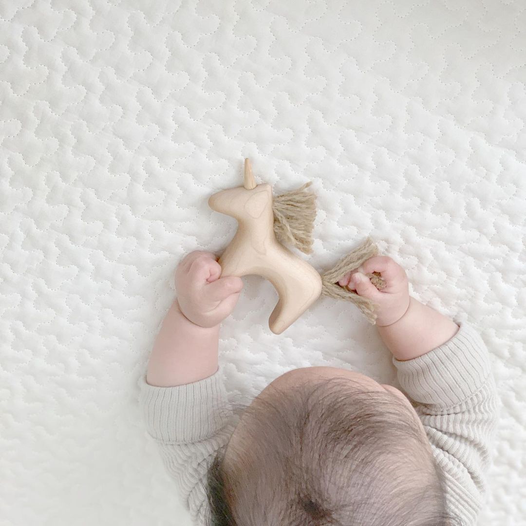Wooden Unicorn