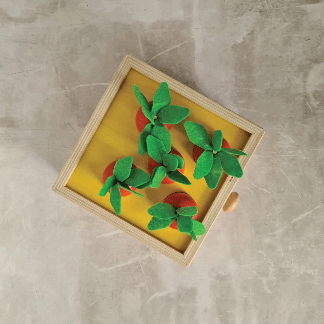 Montessori Box
